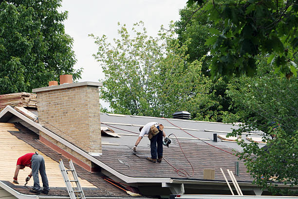 Best Gutter Installation and Roofing  in Moss Bluff, LA